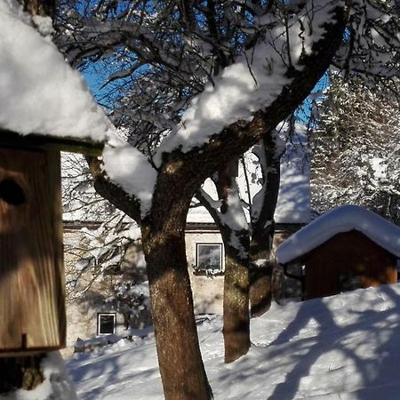 Ferienhaus Hirschnest Sankt Pankraz Dış mekan fotoğraf