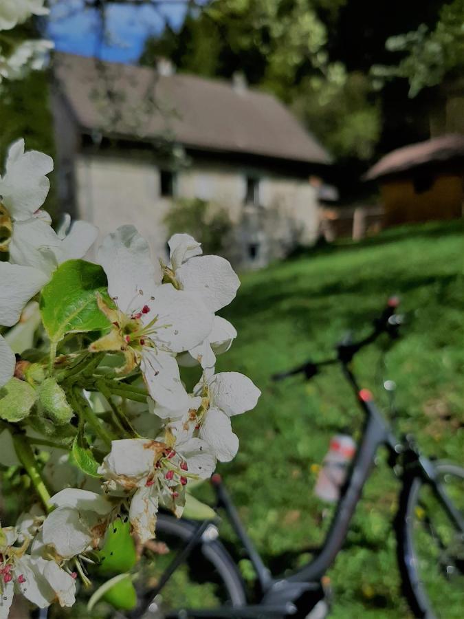 Ferienhaus Hirschnest Sankt Pankraz Dış mekan fotoğraf