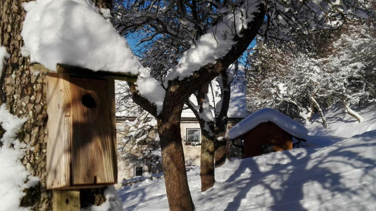Ferienhaus Hirschnest Sankt Pankraz Dış mekan fotoğraf