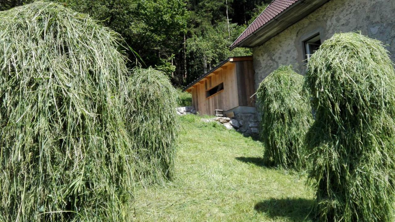 Ferienhaus Hirschnest Sankt Pankraz Dış mekan fotoğraf