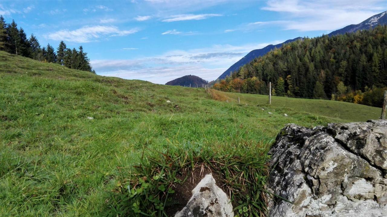 Ferienhaus Hirschnest Sankt Pankraz Dış mekan fotoğraf