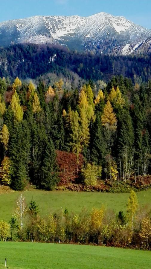 Ferienhaus Hirschnest Sankt Pankraz Dış mekan fotoğraf