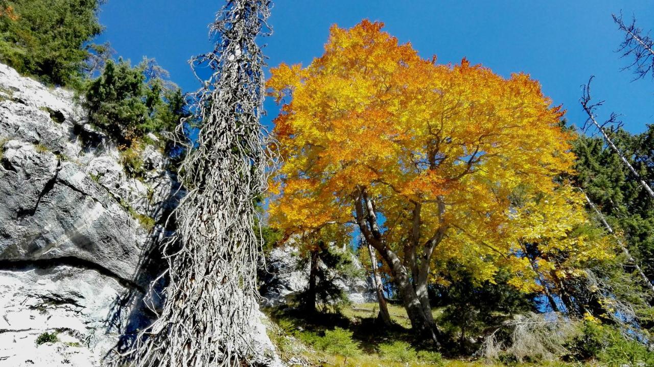 Ferienhaus Hirschnest Sankt Pankraz Dış mekan fotoğraf
